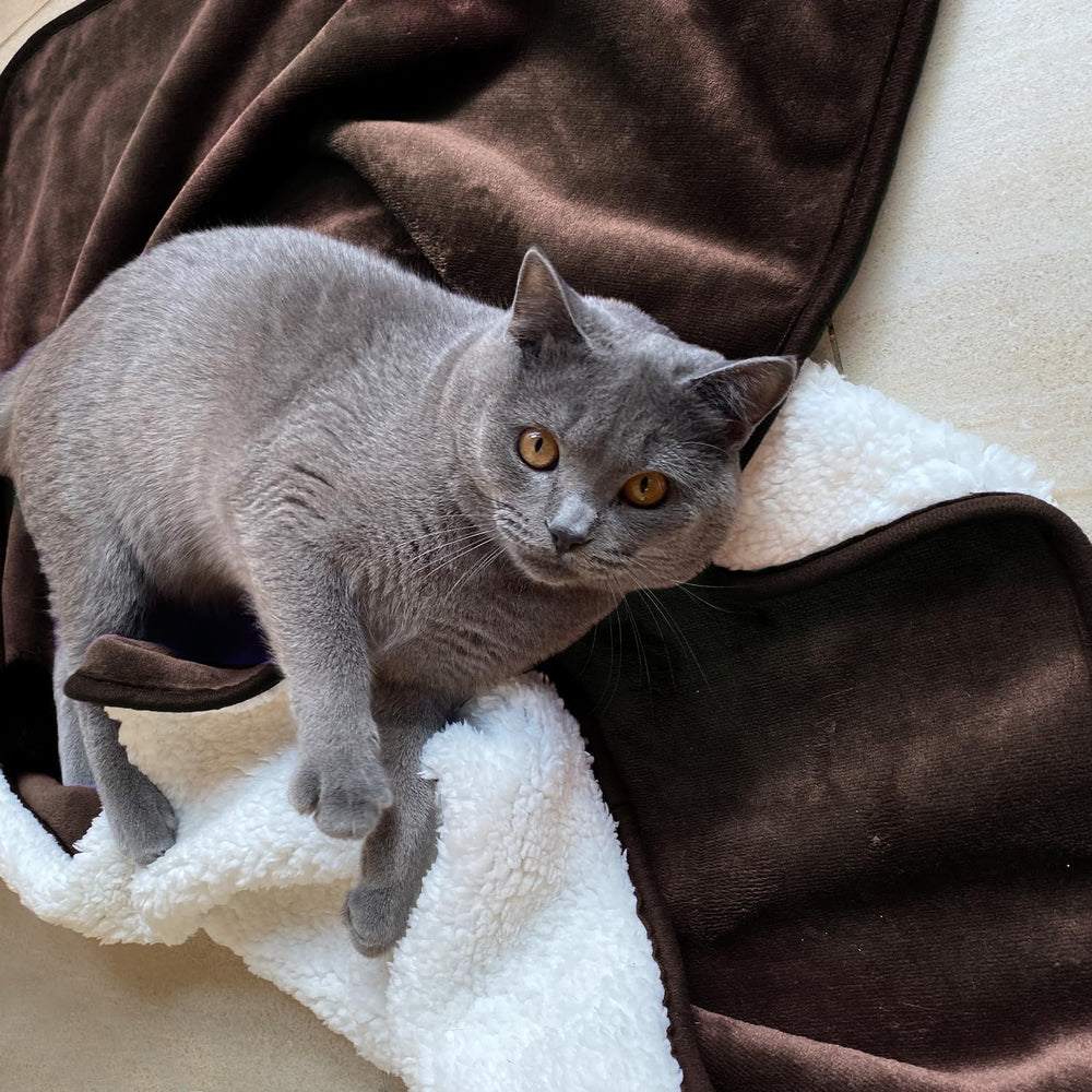 Manta Yaning doble cara sherpa-flannel ofrece dos sensaciones cálidas para mascotas