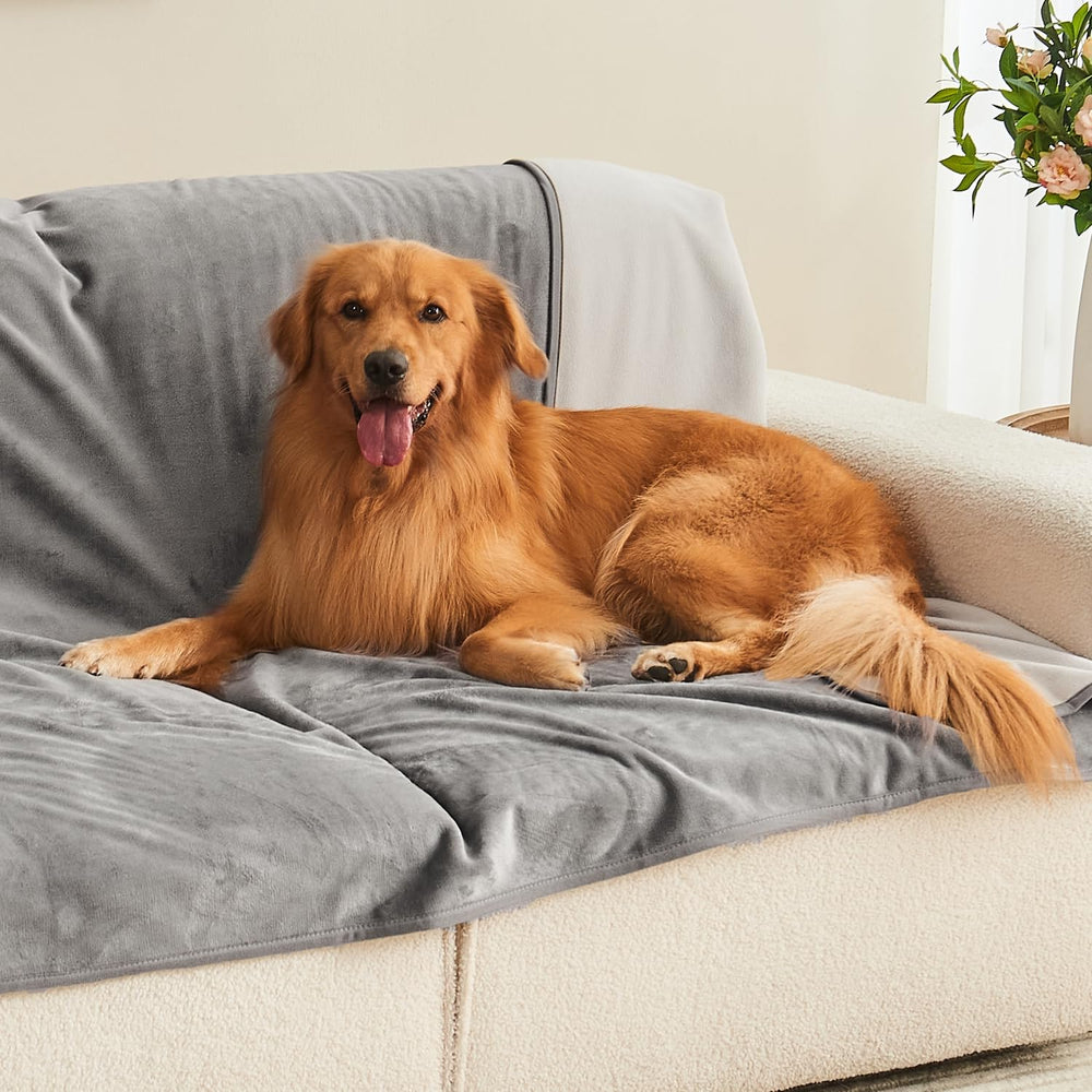 Manta Yaning con mascotas en sofá protege el mueble