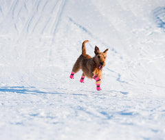 YAODHAOD botas para perros con suela antideslizante para superficies seguras