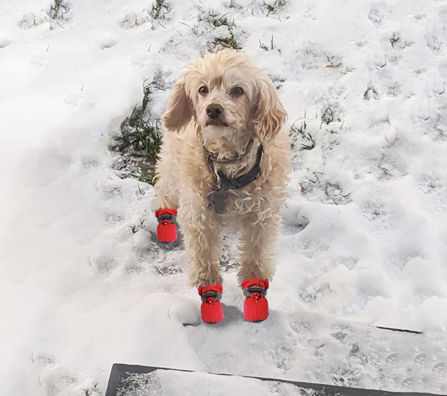 Yaodhaod botas perro diseño anti-deslizante para suelos interiores