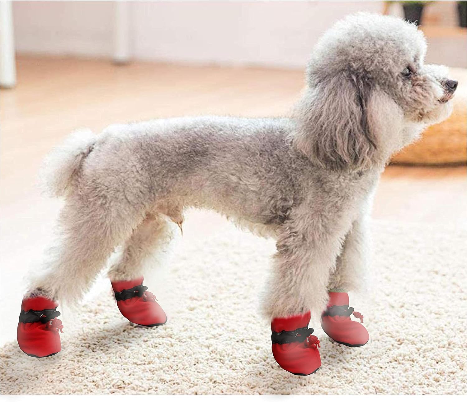 Zapatos YAODHAOD talla 7 para perro, ideales en inviernos