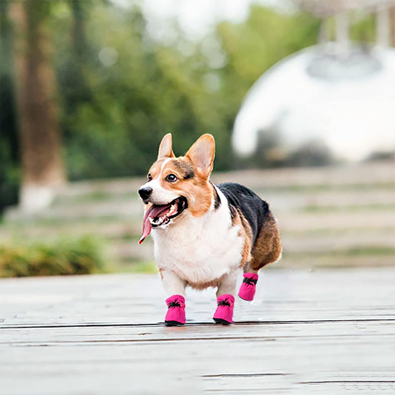 YAODHAOD perro usando botas rosas en paseo ligero al aire libre.