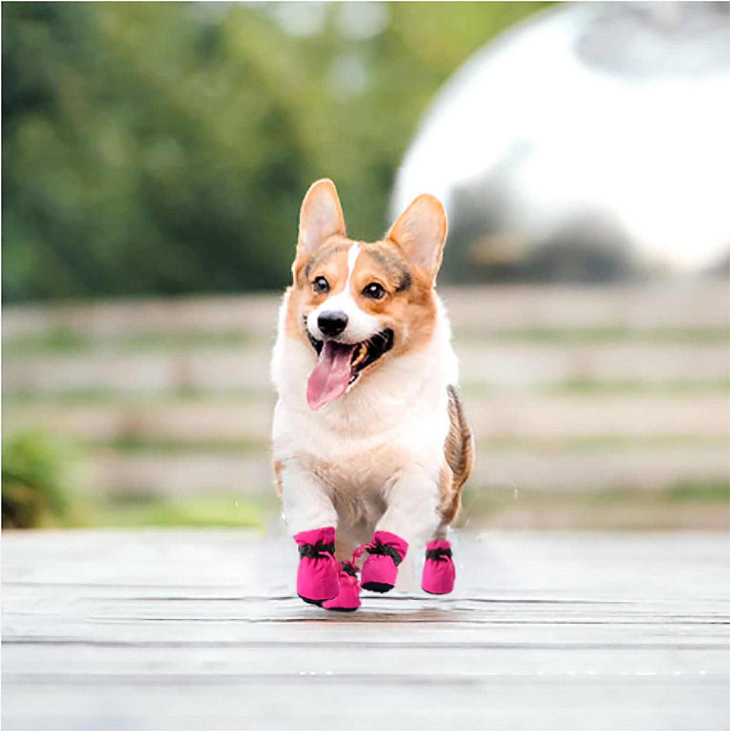 YAODHAOD suela antideslizante en botas rosas para perros, mayor agarre interior.