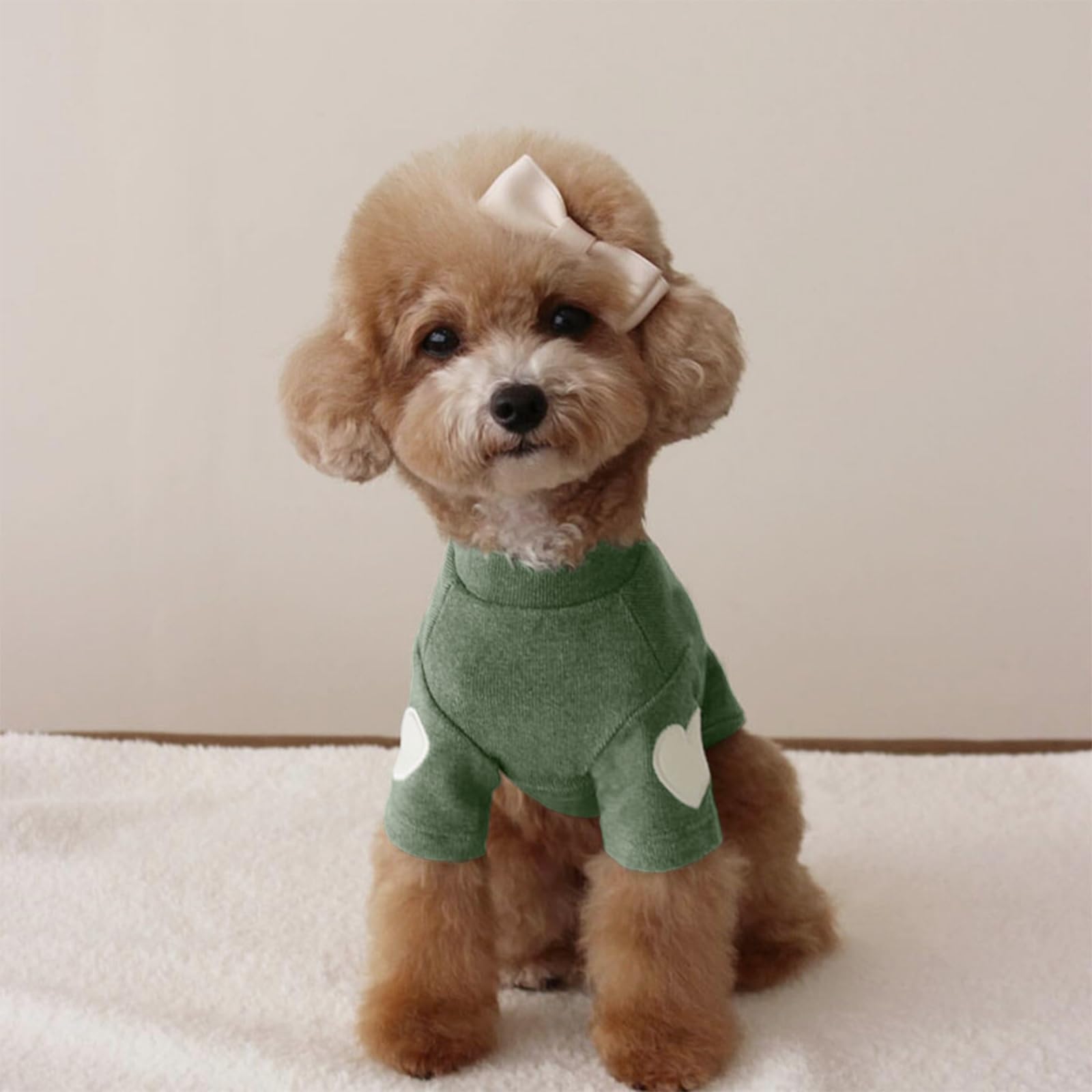 Yaopelky sudadera versátil para perros y gatos pequeños, ideal para salidas.