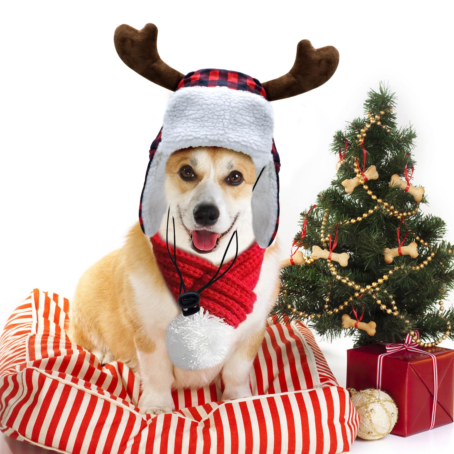 Colocación fácil; gorra Yasutgas para perros sin necesidad de atar.