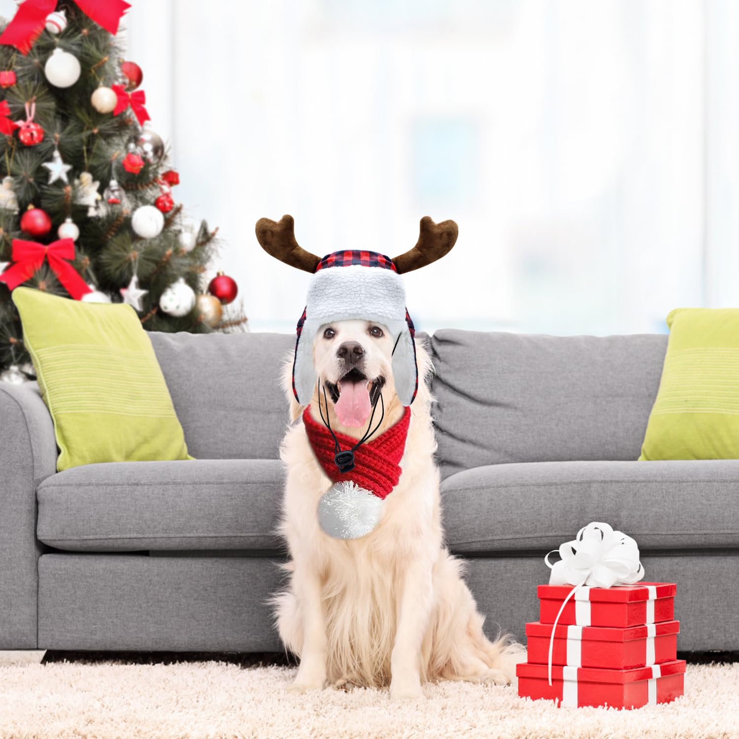 Conjunto invernal Yasutgas para mascotas; abriga y aporta estilo.
