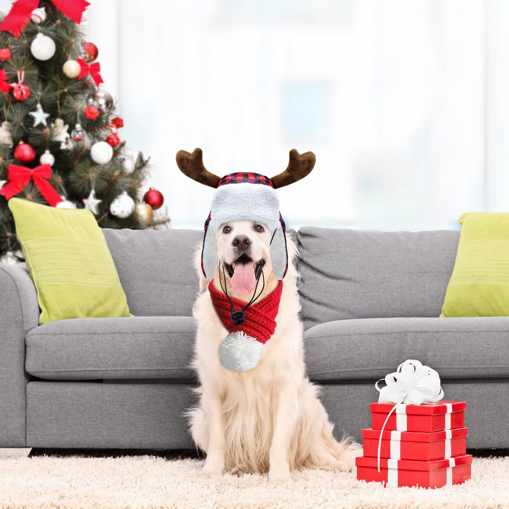 Conjunto invernal Yasutgas para mascotas; abriga y aporta estilo.