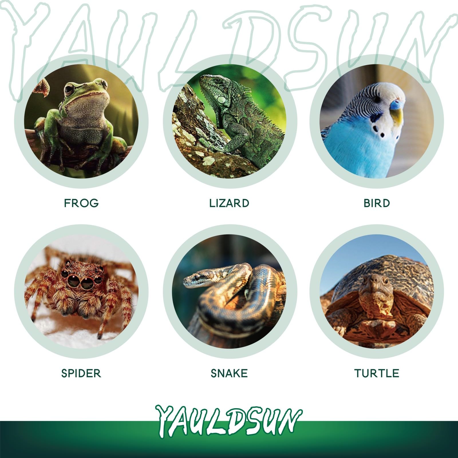 YauldSun seguridad, superficie caliente y cuidado