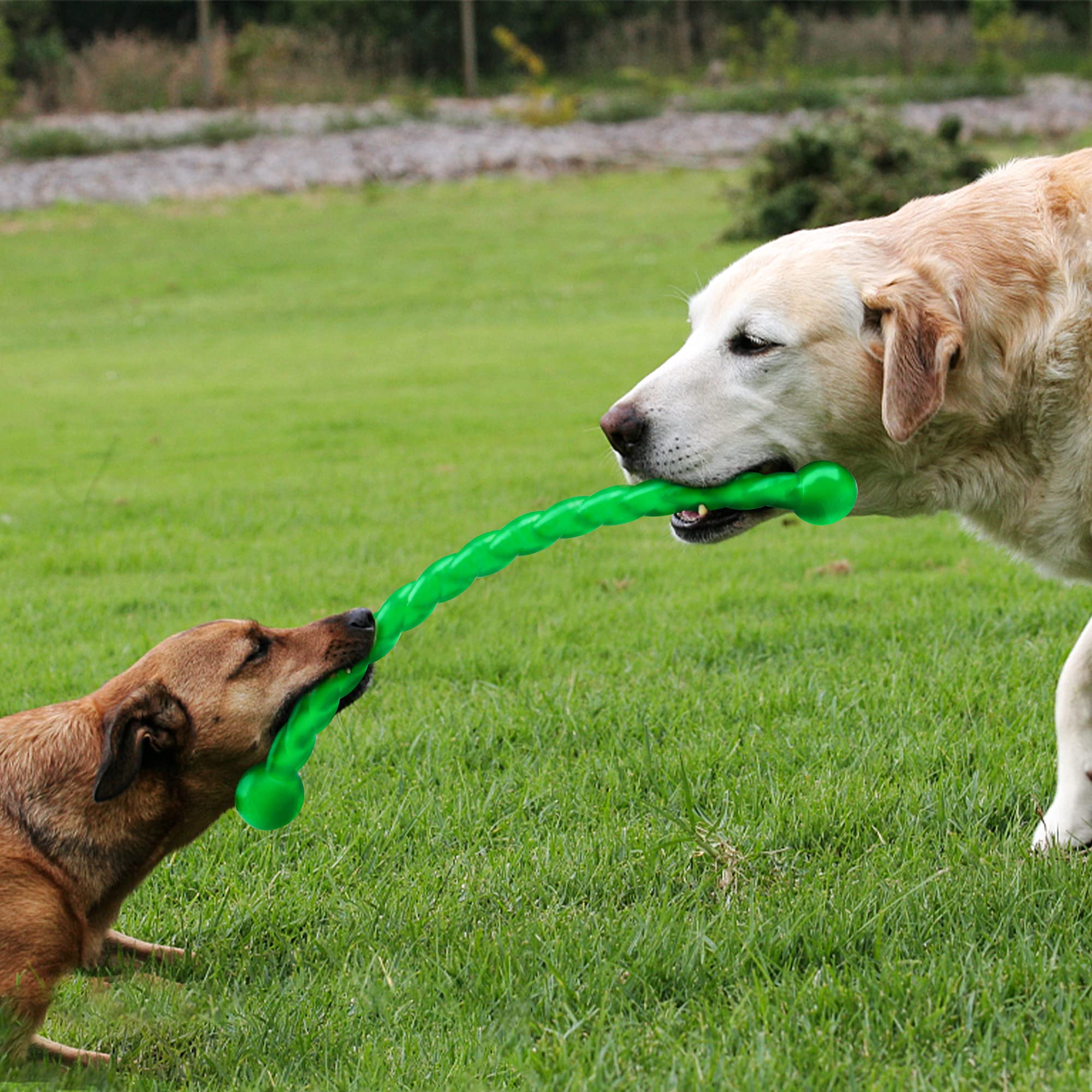 Juguete resistente al masticado de Ycozy para perros agresivos.
