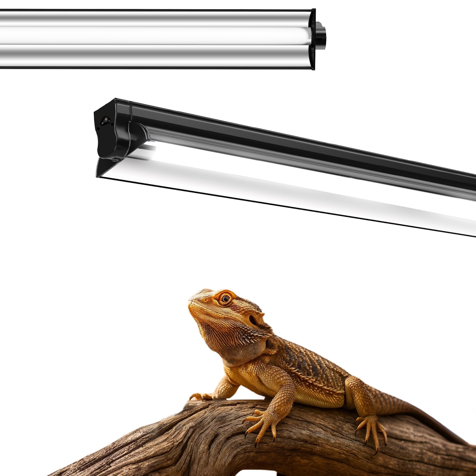 Tortuga en terrario iluminado por Ycxydr UVB, apoyo a un hábitat equilibrado.