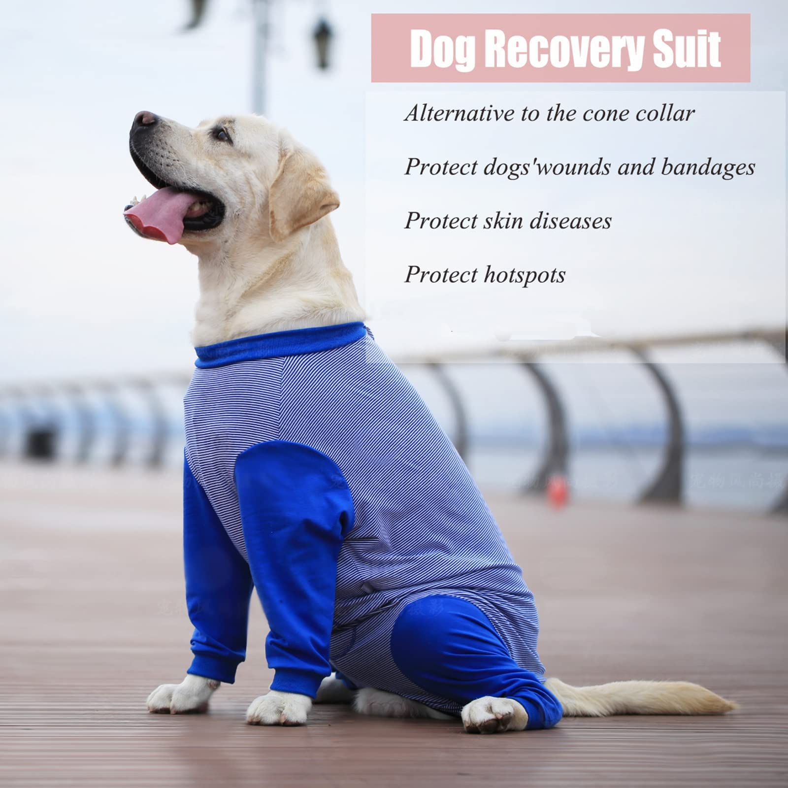 Yeapeeto Dog Onesie lavado a máquina para mantenimiento sencillo.