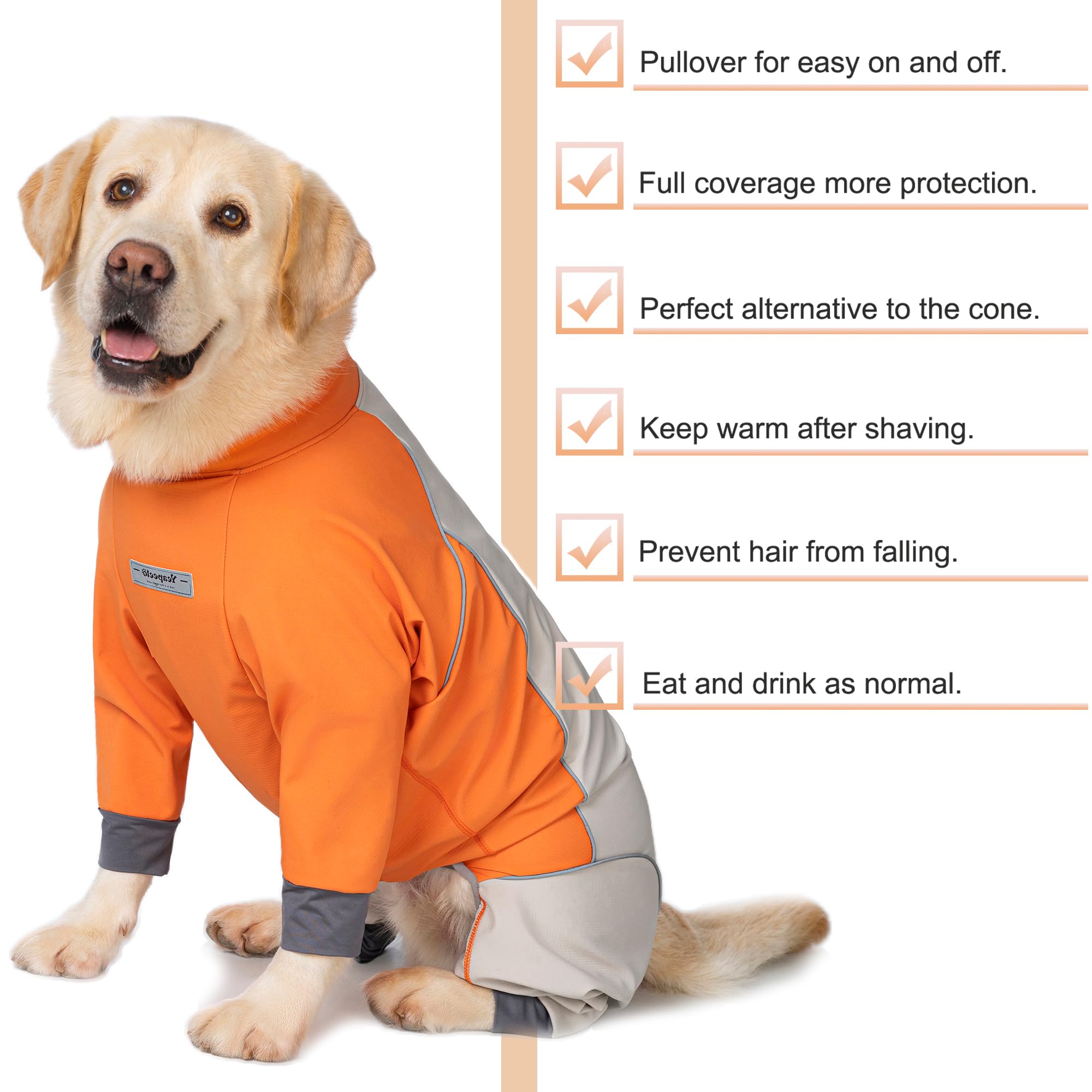 Yeapeeto chaqueta para exteriores: ideal para salidas diarias y aventuras al aire libre.