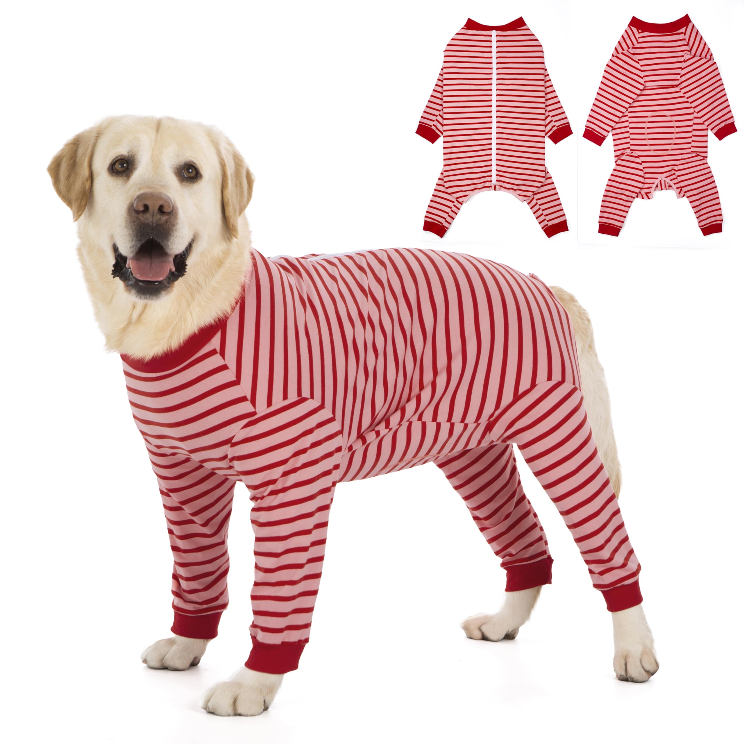 Yeapeeto Recovery Suit cubre todo el cuerpo del perro para mayor comodidad.
