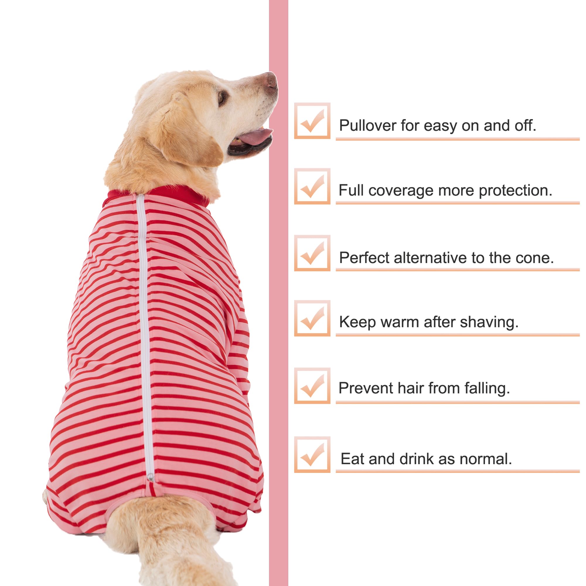Yeapeeto Recovery Suit sirve como alternativa al cono para mayor libertad.