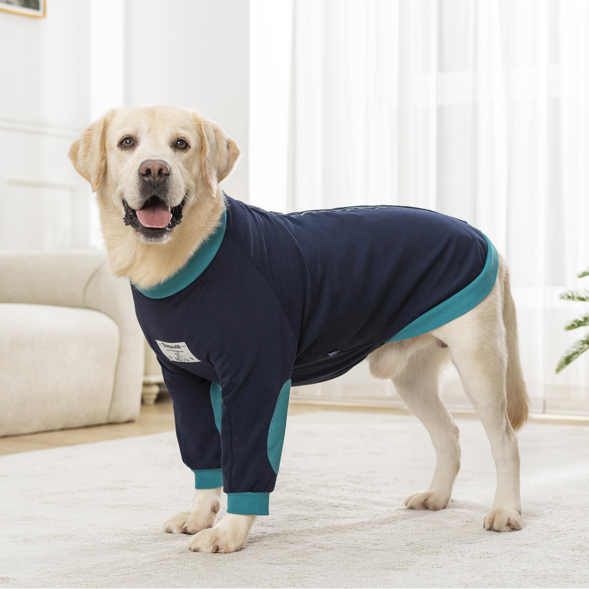 Yeapeeto talla 3XL, ajuste cómodo para Labradores y perros similares.