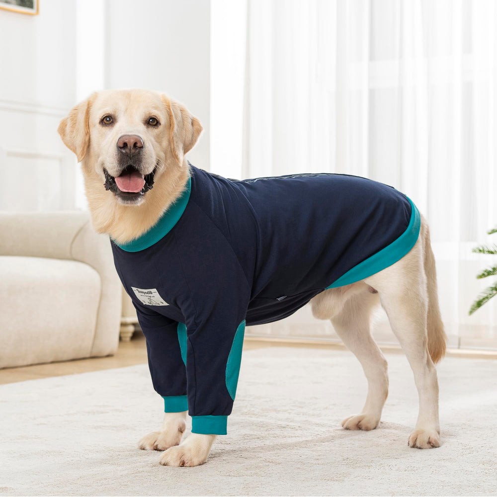 Yeapeeto talla 3XL, ajuste cómodo para Labradores y perros similares.