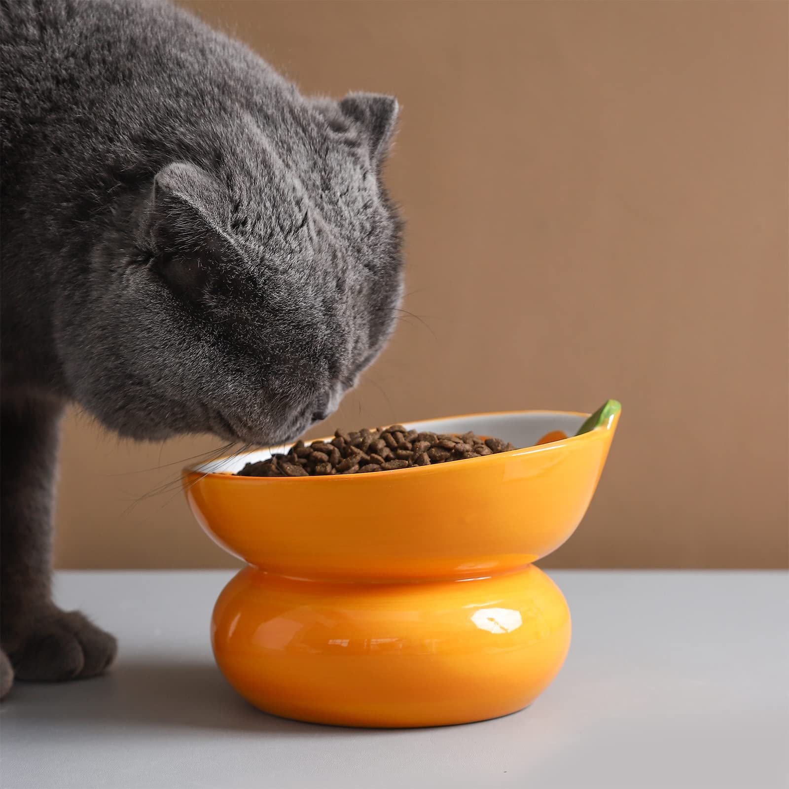 Yeexoxow tazón elevado para gatos que comen secos o húmedos.