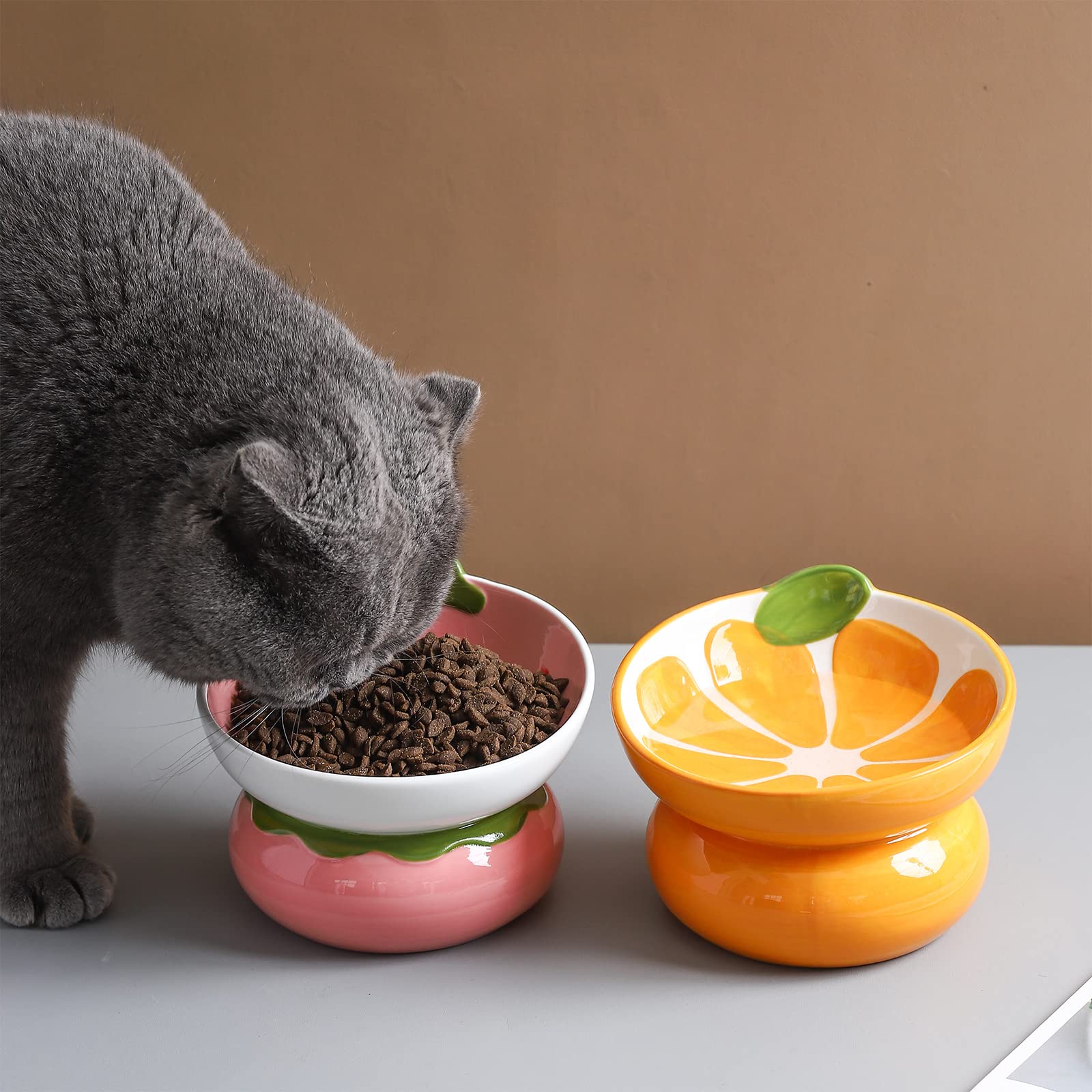 Yeexoxow tazón cerámico antivomito, diseño suave para gatos sensibles.