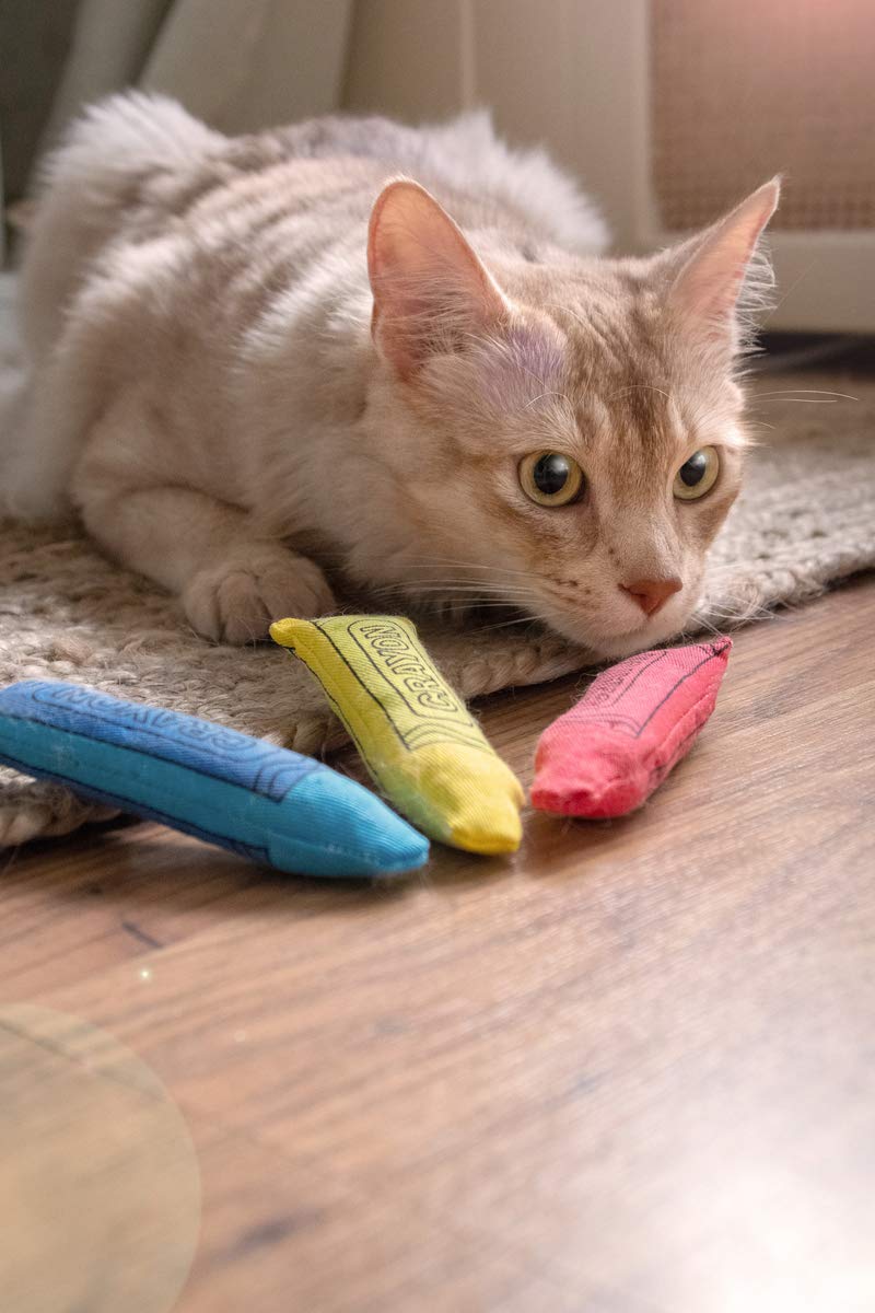 Yeowww! Catnip Crayon, gato jugando muestra entretenimiento diario y acción divertida.
