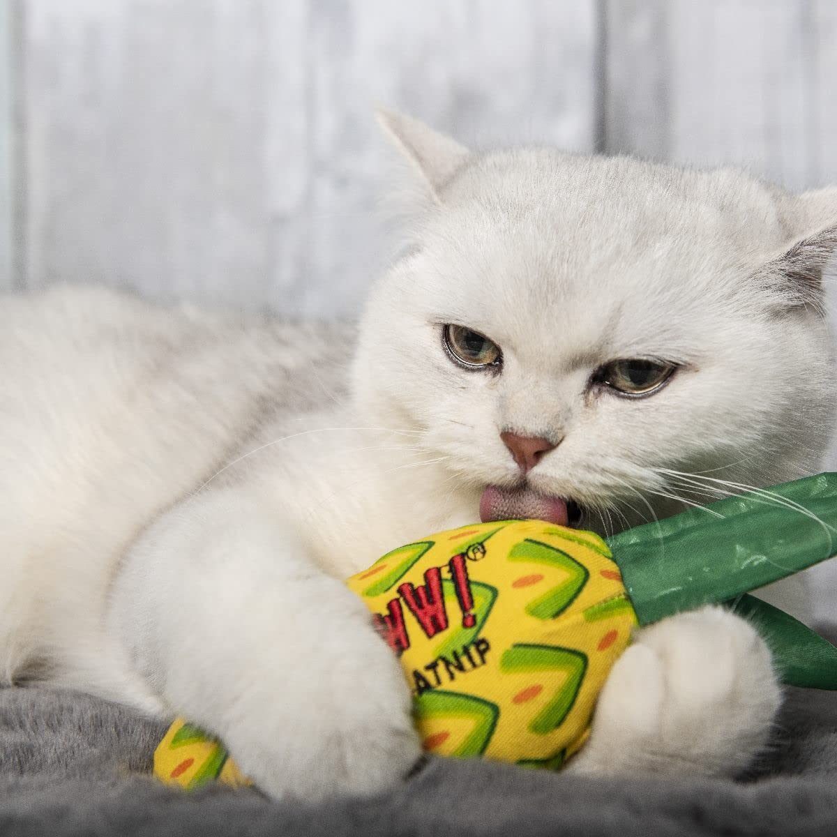 Catnip orgánico 100% de EE. UU. YEOWWW! para sesiones de juego estimulantes.