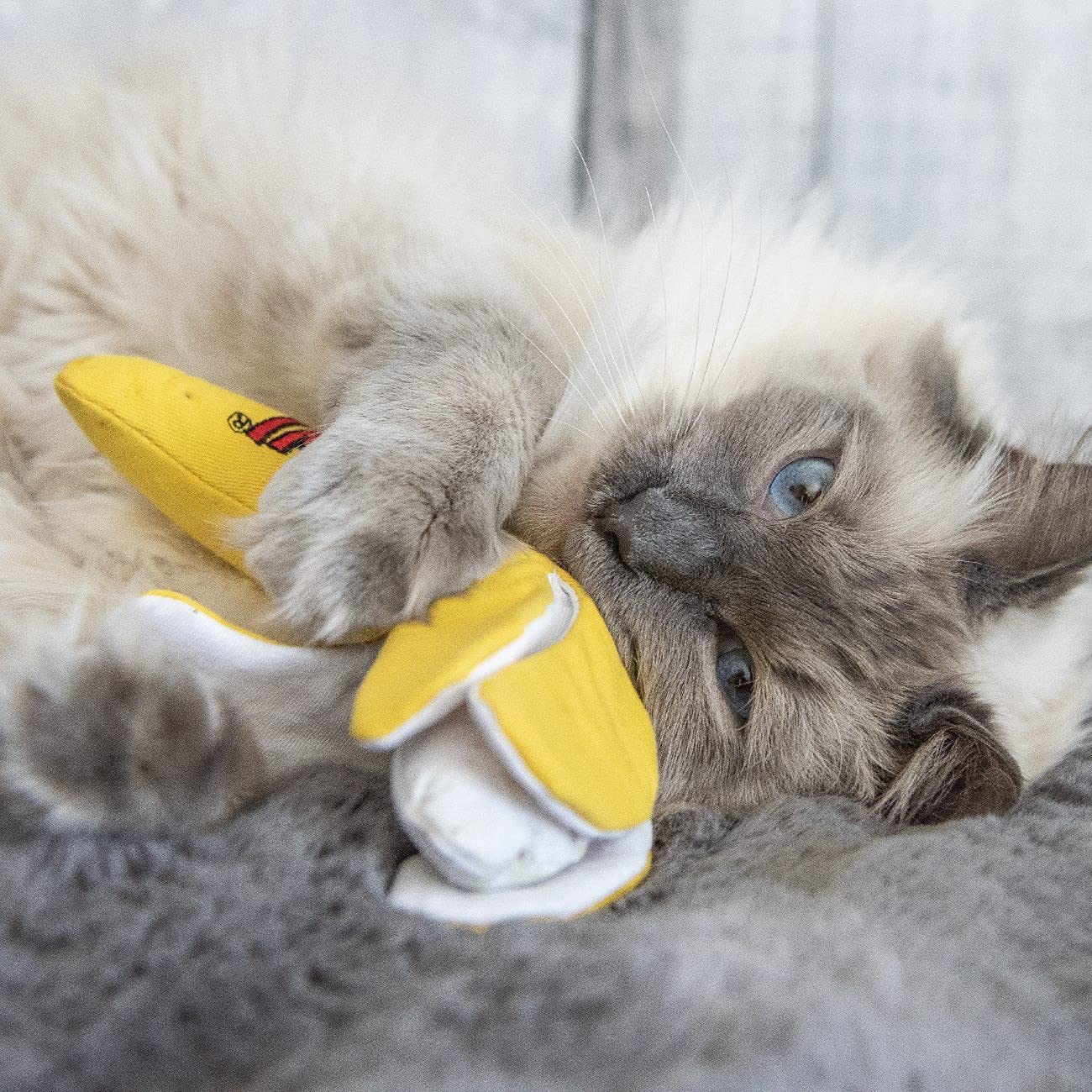 Yeowww! Chi-CAT-a banana sensorial, experiencia suave y divertida para gatos