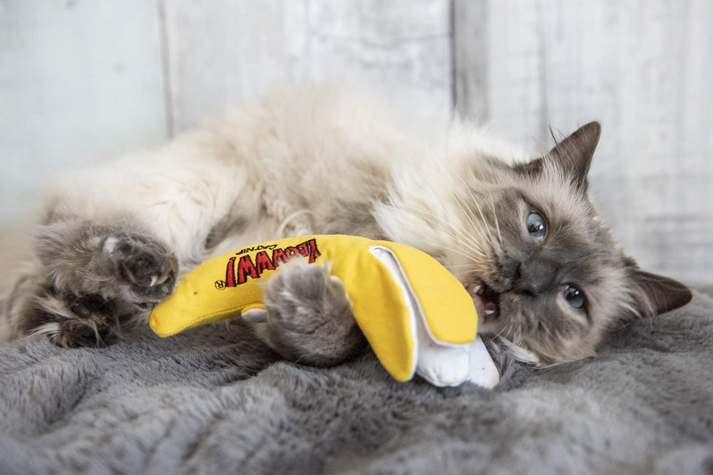 Yeowww! Chi-CAT-a juguete texturizado con crujidos, ideal para perseguir
