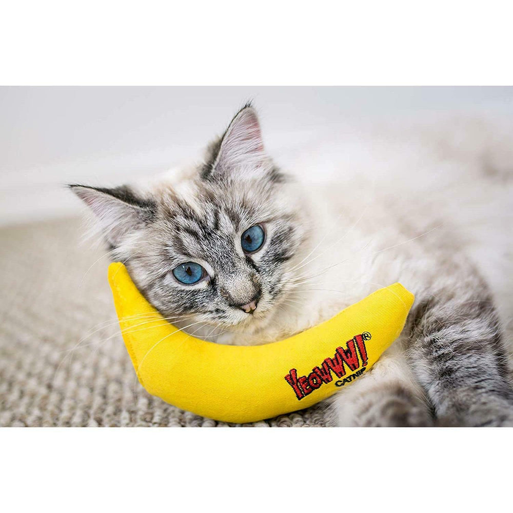 Hierba gatera 100% orgánica, sin rellenos ni algodón para felinos.