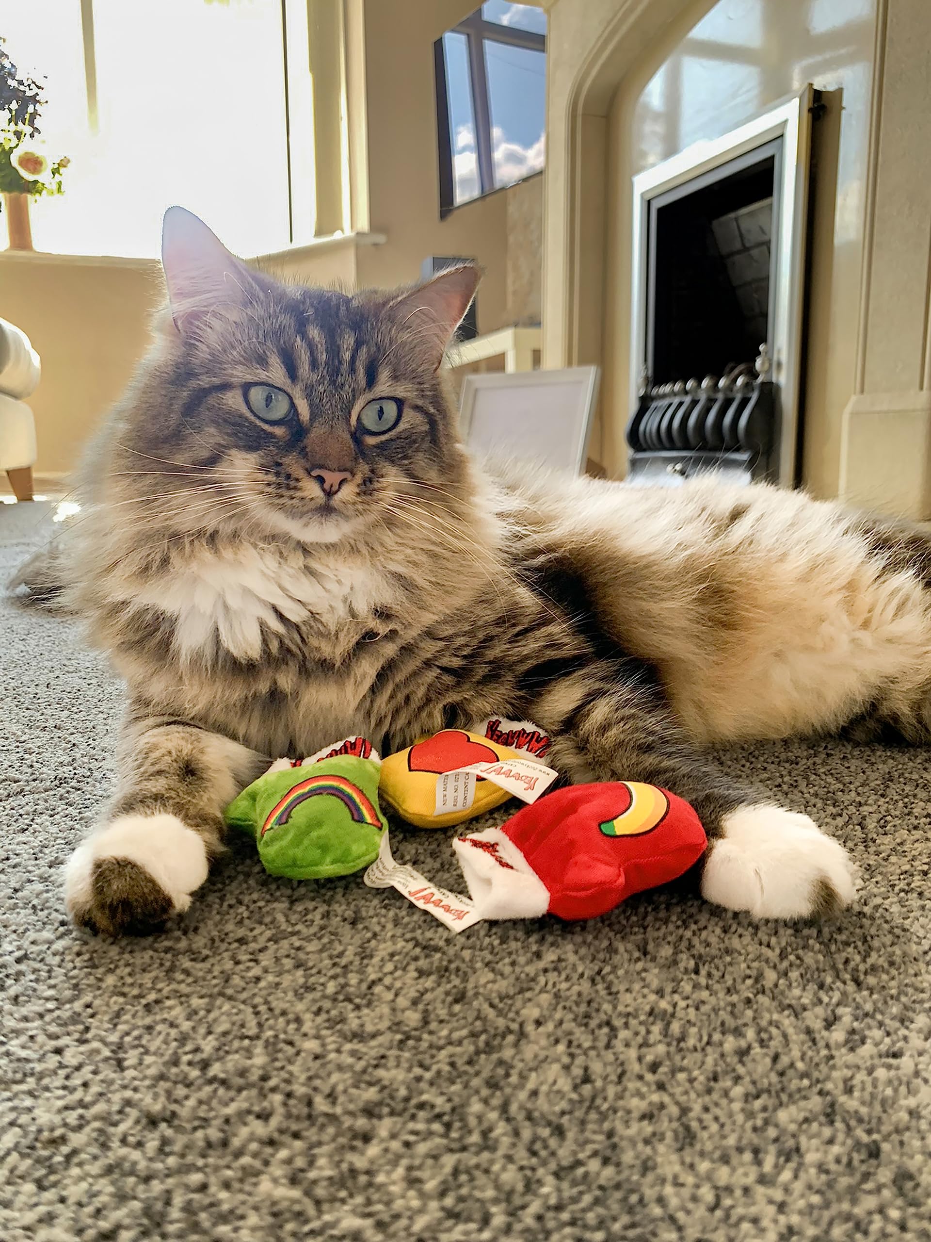 Yeowww! Kit de mitones para gatitos con hierba gatera para juego vespertino