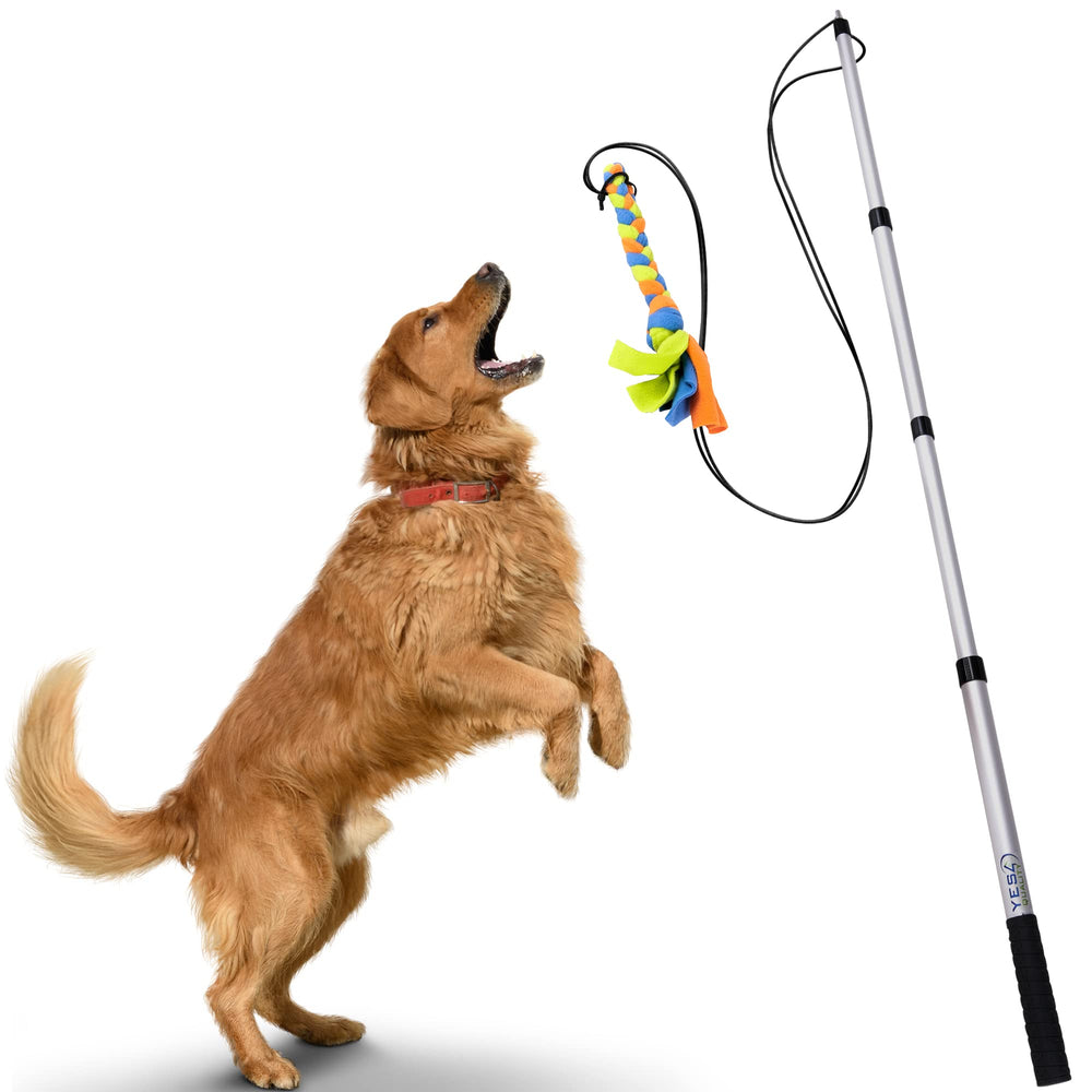 YES4QUALITY Flirt Pole para perros en acción, ejercicio y juego dinámico