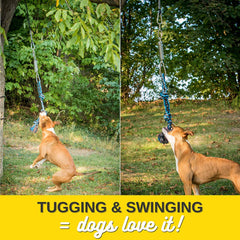 YES4QUALITY Resorte doble de acero inoxidable para perros robustos