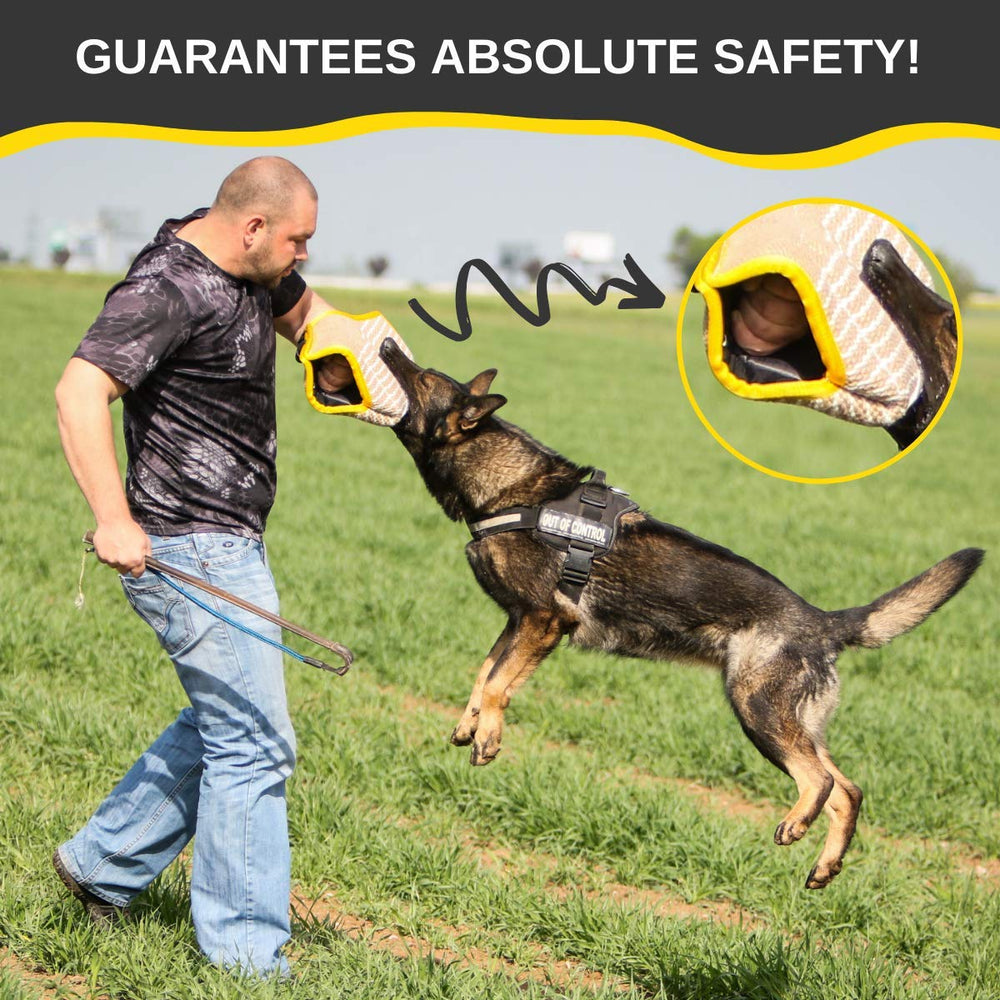 YES4QUALITY uso-versatil-en-entrenamiento-canino: ideal para agilidad y ejercicios de mordida.