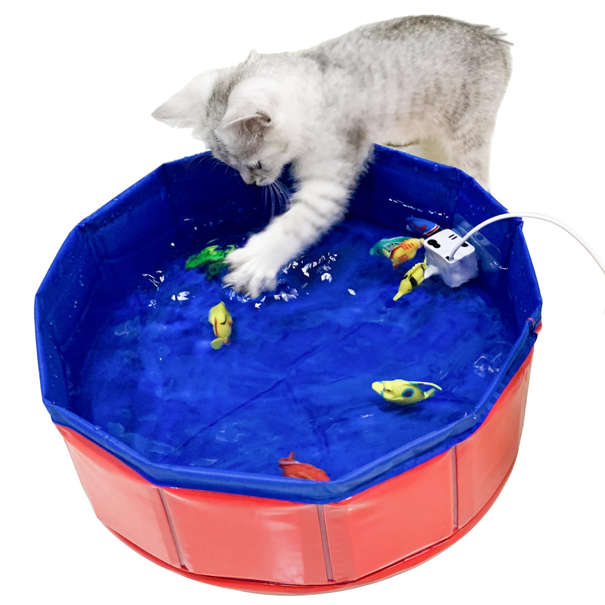 YeulYuuri gato interactuando con pez en piscina para estimular el juego