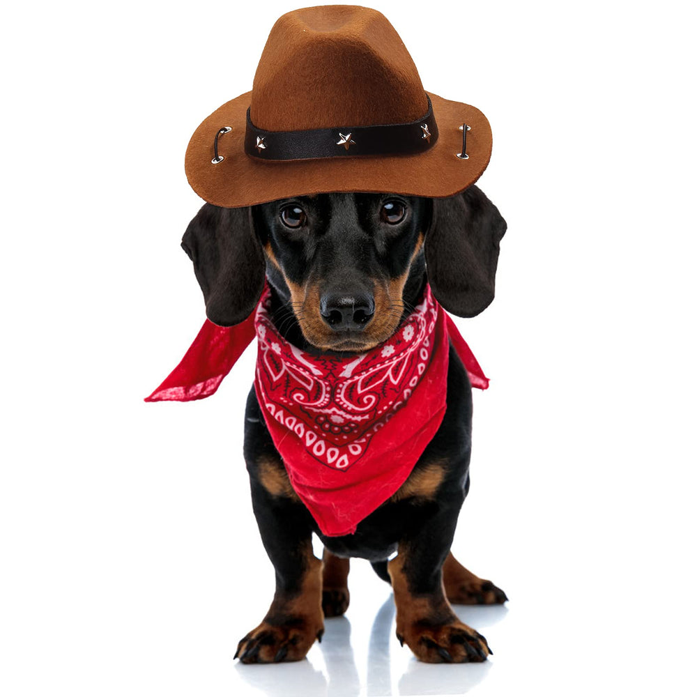Conjunto western para mascotas Yewong, perfecto como prop para fiestas y cosplay.