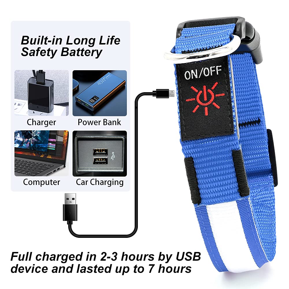 YFbrite collar led 360° para perro, seguridad nocturna
