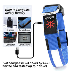YFbrite collar led 360° para perro, seguridad nocturna
