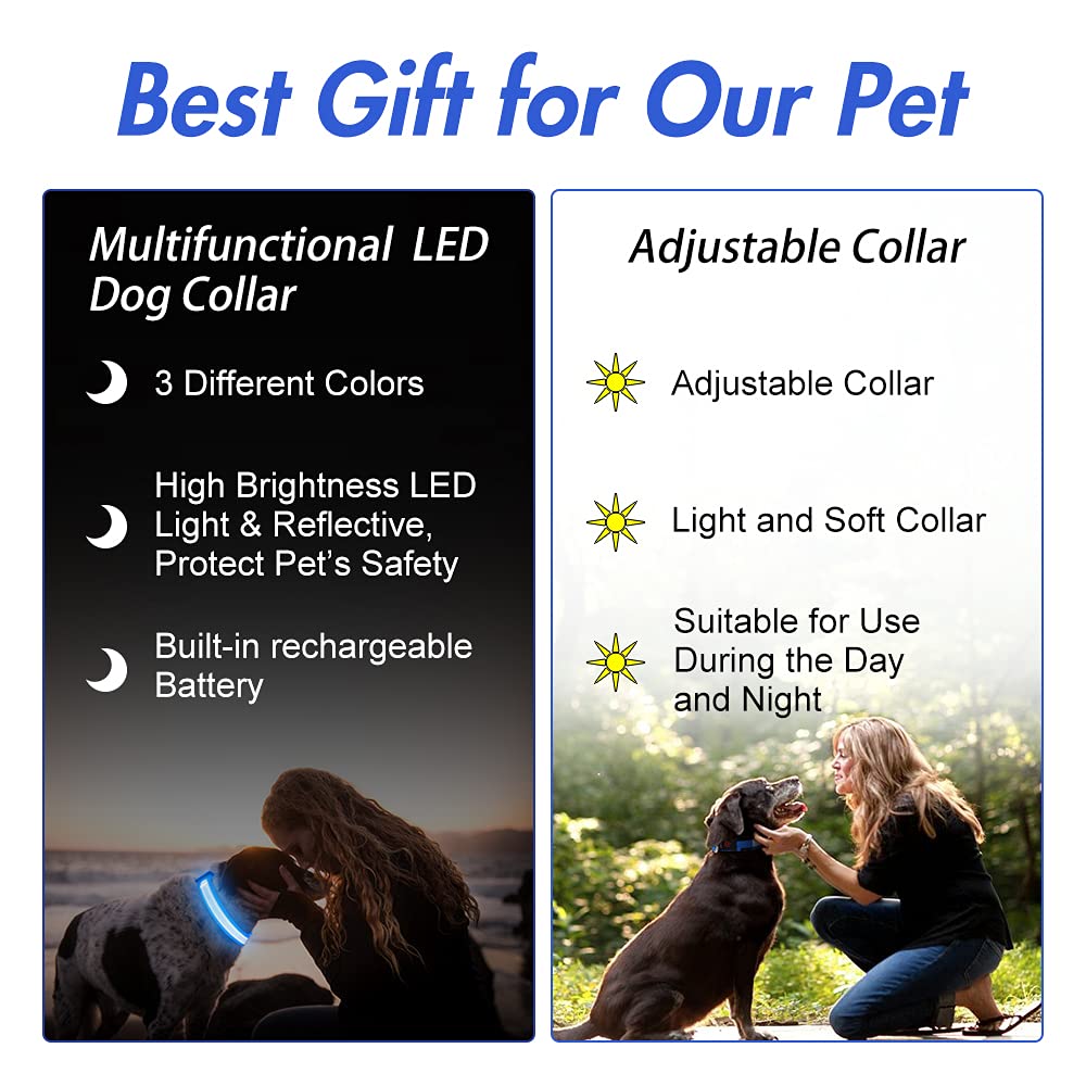 YFbrite collar impermeable led para perro azul, paseo bajo lluvia