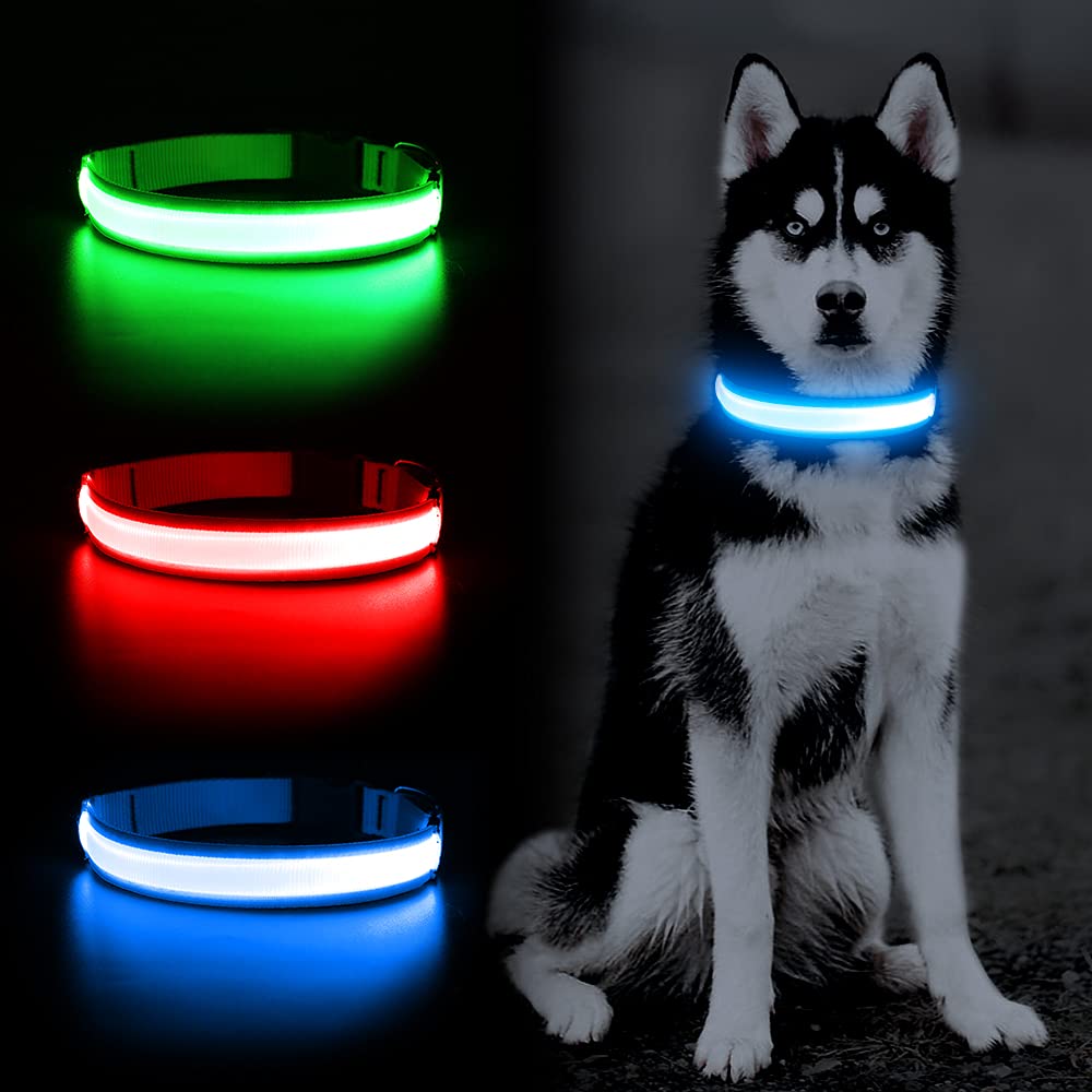 YFbrite collar led para paseo nocturno, alta visibilidad