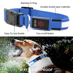 YFbrite collar led recargable USB para perro, carga rápida