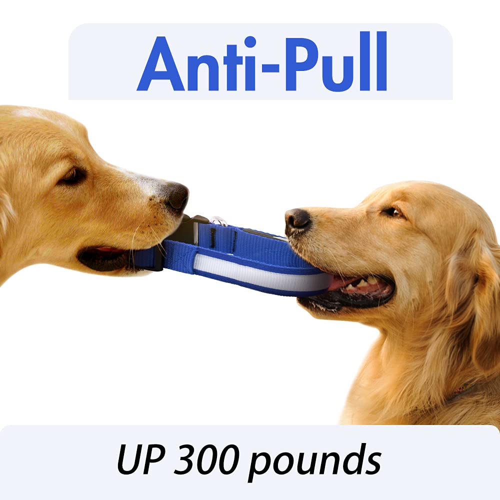YFbrite collar led con 3 modos de iluminación para perro azul