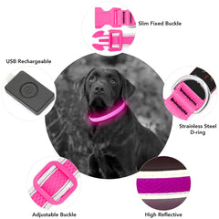 YFbrite collar-luz-perro-rosa-anilla-d garantiza conexión estable con la correa.