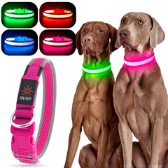 YFbrite collar-luz-perro-rosa-mediano mejora la visibilidad para paseos nocturnos.