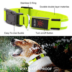 Collar LED recargable YFbrite con carga USB para perros.