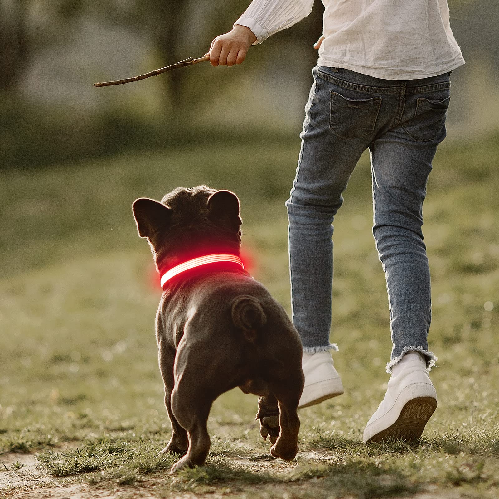 Collar YFbrite ofrece duración en varios modos de iluminación.