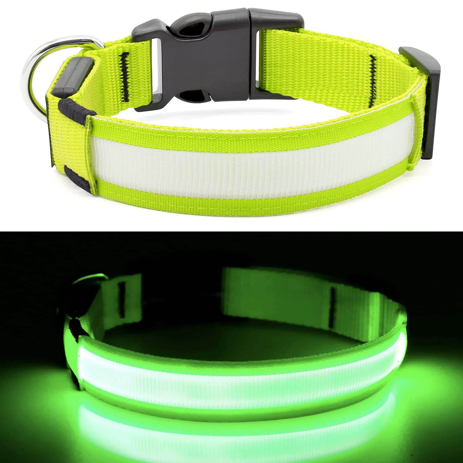 Collar YFbrite con iluminación 360° para perros, visibles a distancia.