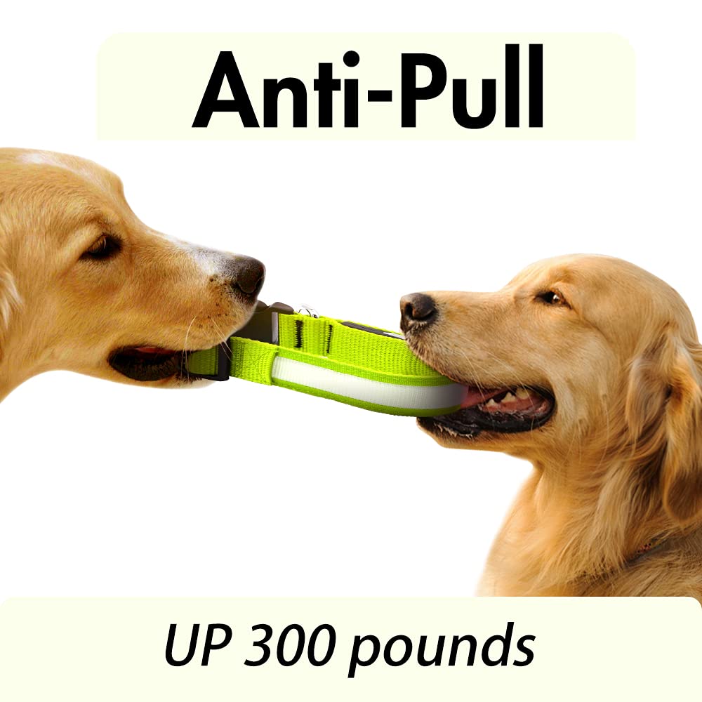 Collar resistente al agua YFbrite para perros durante paseos bajo lluvia.