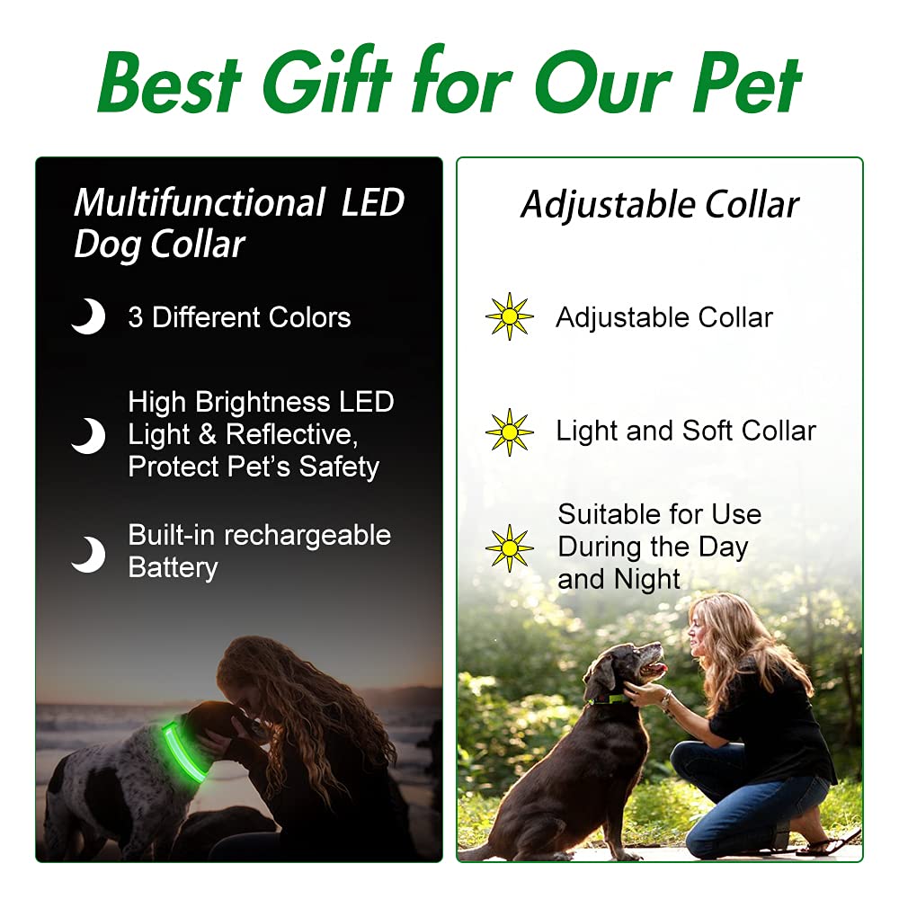 Collar YFbrite para uso nocturno, mejora la seguridad de la mascota.