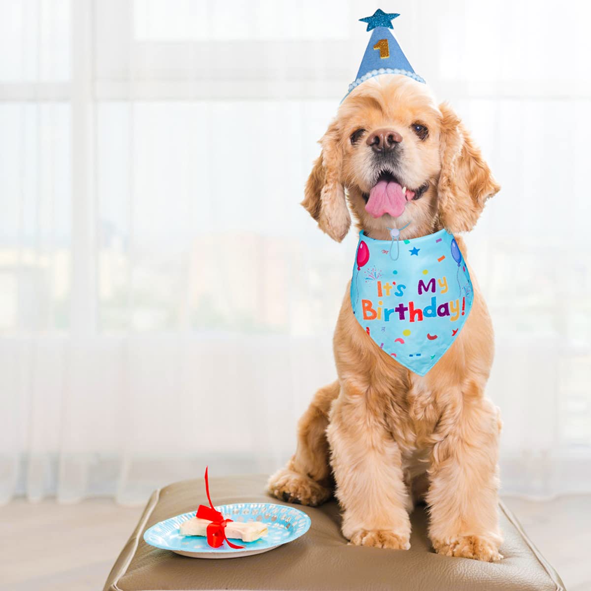 Bandana ajustable Yicostar para perros, garantiza ajuste cómodo.