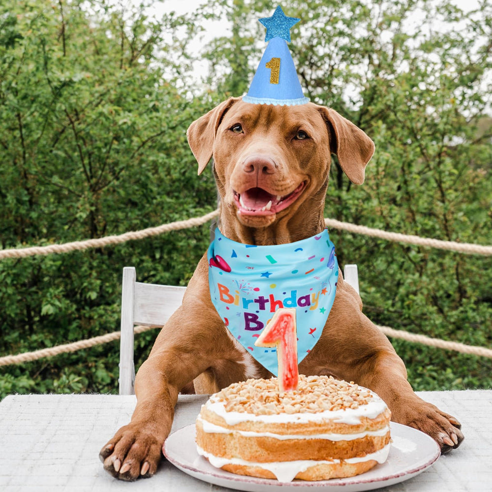 Conjunto de cumpleaños canino Yicostar para fotos memorables.