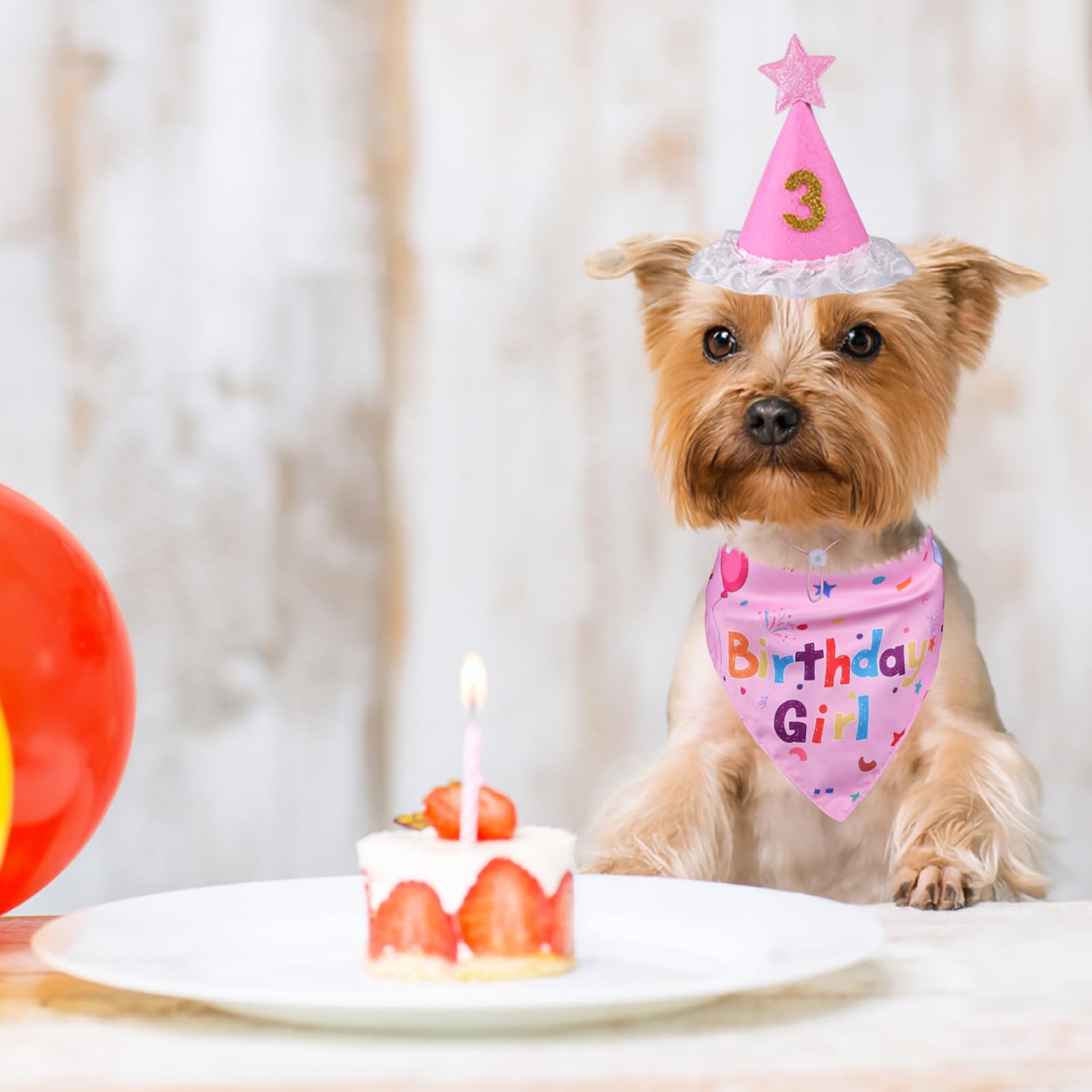 Conjunto de cumpleaños Yicostar para perros, listo para la celebración.