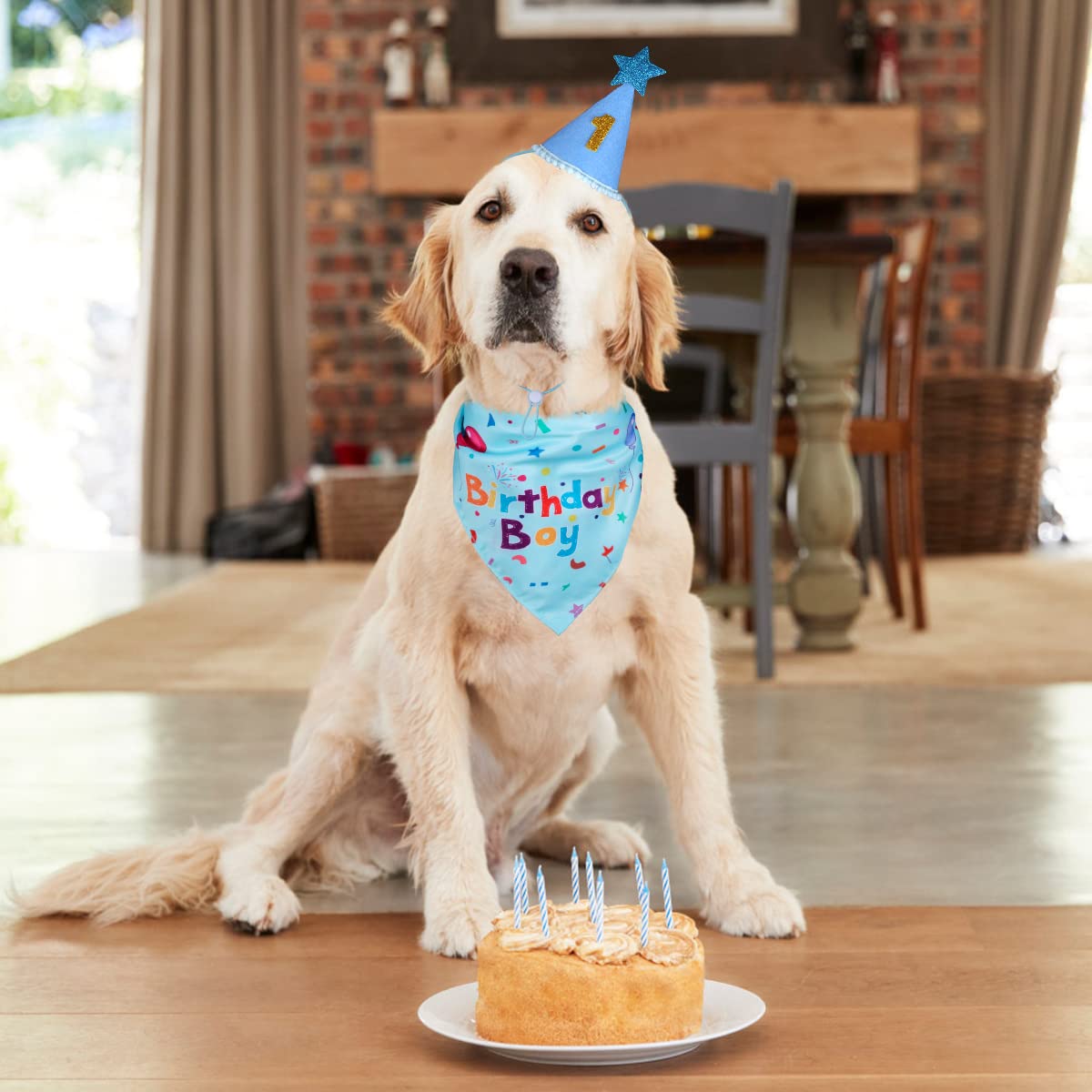 Conjunto de fiesta para perros Yicostar: gorra y bandana combinables.
